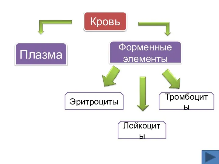 Кровь Плазма Форменные элементы Эритроциты Лейкоциты Тромбоциты