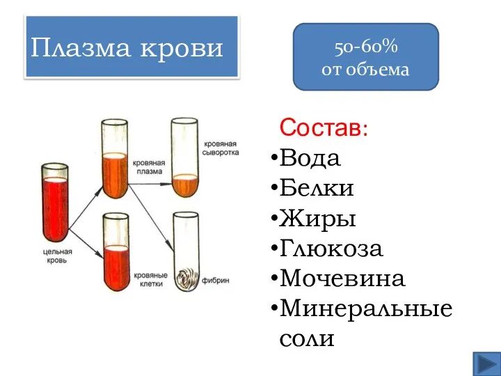 Плазма крови Состав: Вода Белки Жиры Глюкоза Мочевина Минеральные соли 50-60% от объема