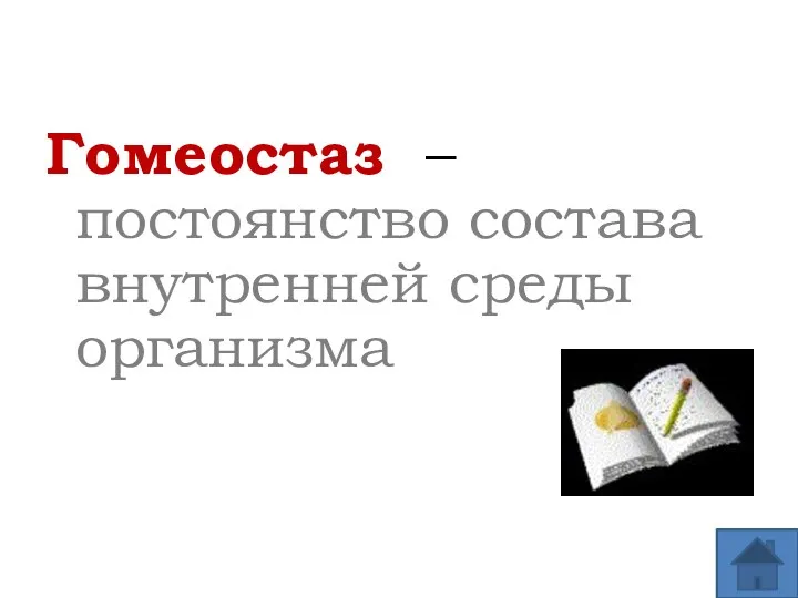 Гомеостаз – постоянство состава внутренней среды организма