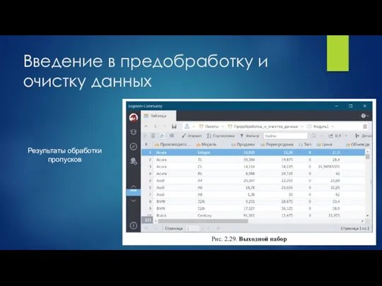 Введение в предобработку и очистку данных Результаты обработки пропусков