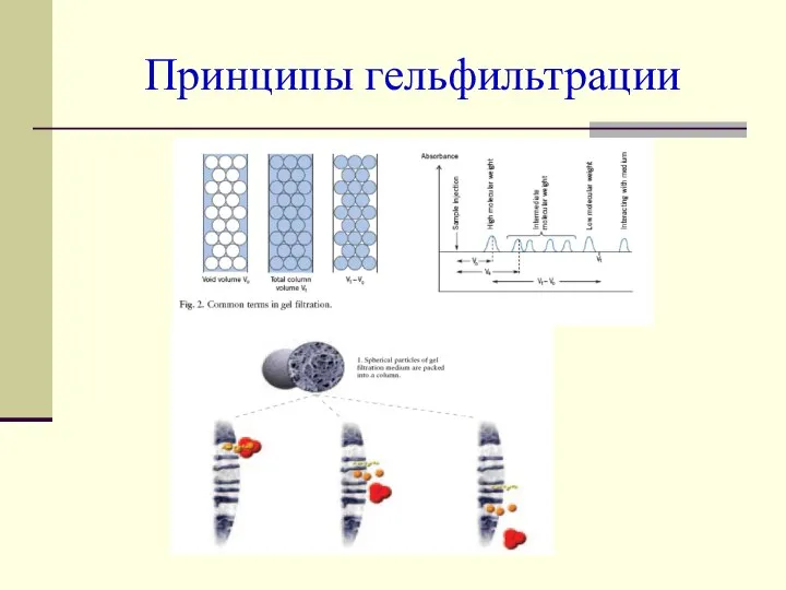 Принципы гельфильтрации