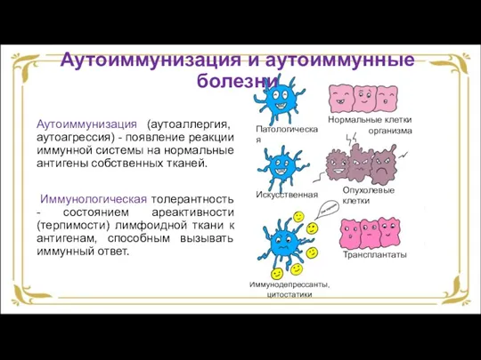 Иммунодепрессанты, цитостатики Аутоиммунизация и аутоиммунные болезни Аутоиммунизация (аутоаллергия, аутоагрессия) - появление реакции
