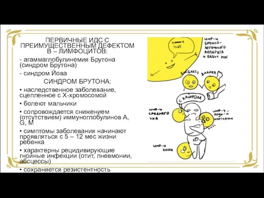 ПЕРВИЧНЫЕ ИДС С ПРЕИМУЩЕСТВЕННЫМ ДЕФЕКТОМ В – ЛИМФОЦИТОВ: - агаммаглобулинемия Брутона (синдром