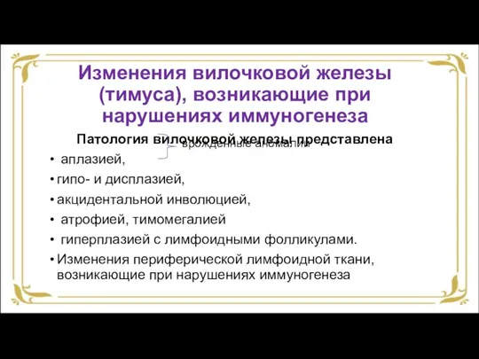 Изменения вилочковой железы (тимуса), возникающие при нарушениях иммуногенеза Патология вилочковой железы представлена