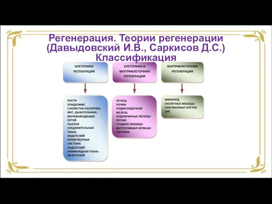 Регенерация. Теории регенерации (Давыдовский И.В., Саркисов Д.С.) Классификация
