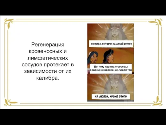 Регенерация кровеносных и лимфатических сосудов протекает в зависимости от их калибра. Почему