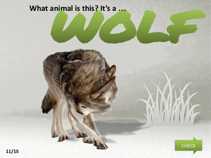wolf What animal is this? It’s a … NEXT CHECK 11/15