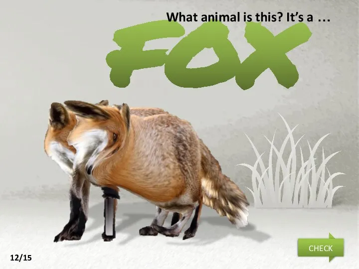 fox What animal is this? It’s a … NEXT CHECK 12/15