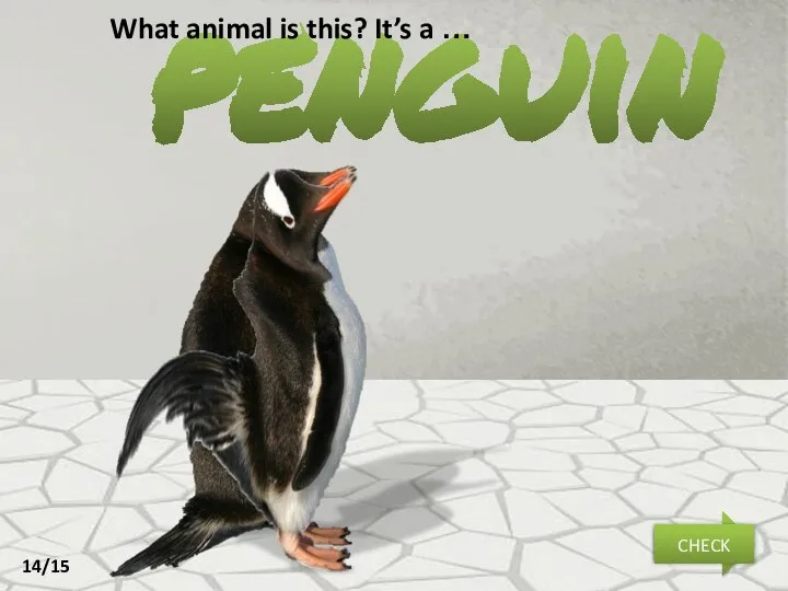 penguin NEXT CHECK What animal is this? It’s a … 14/15