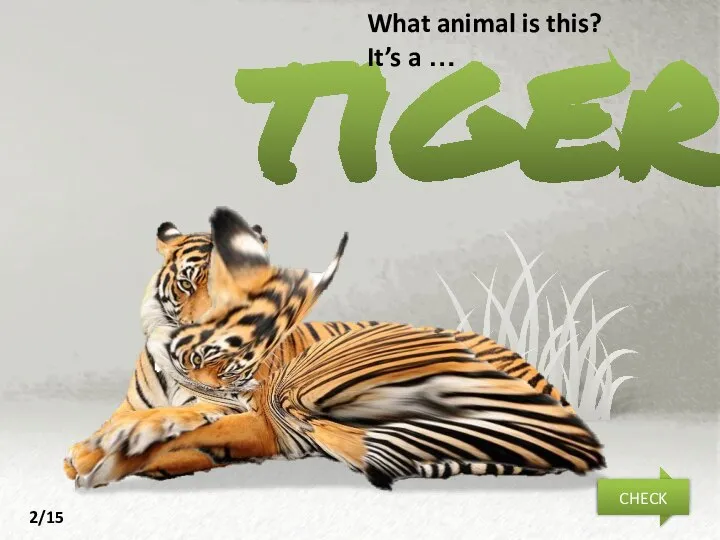 tiger What animal is this? It’s a … NEXT CHECK 2/15