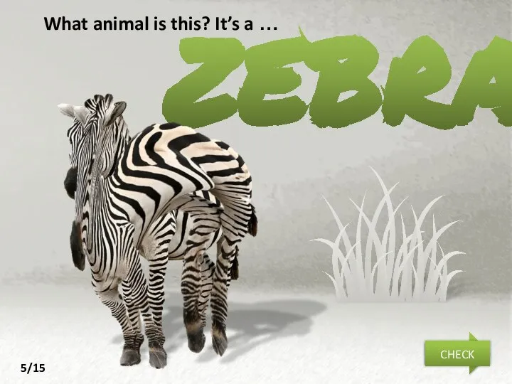 zebra What animal is this? It’s a … NEXT CHECK 5/15