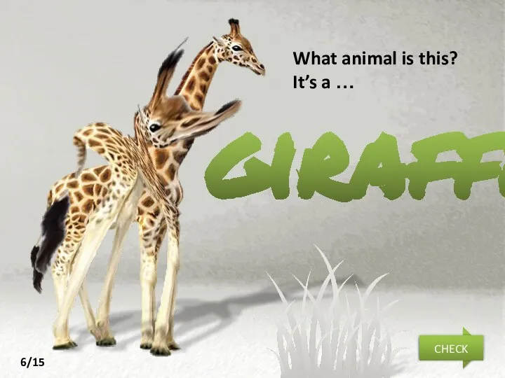 giraffe What animal is this? It’s a … NEXT CHECK 6/15