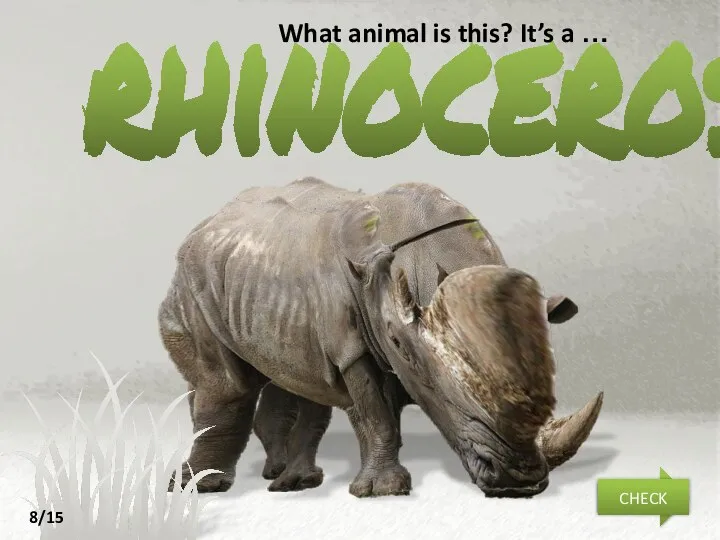 rhinoceros What animal is this? It’s a … NEXT CHECK 8/15