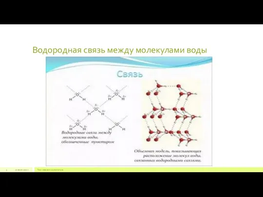 Водородная связь между молекулами воды 22 июля 2012 г. Текст нижнего колонтитула