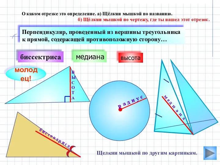 В Ы С О Т А медиана биссектриса О каком отрезке это