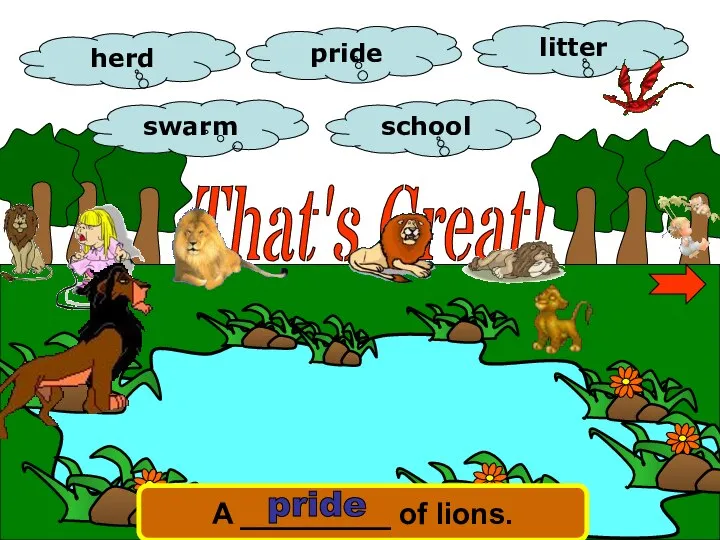 That's Great! herd school litter swarm pride A _________ of lions. pride