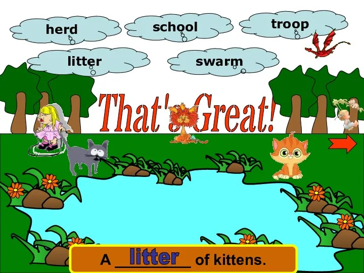 That's Great! herd school troop swarm litter A _________ of kittens. litter