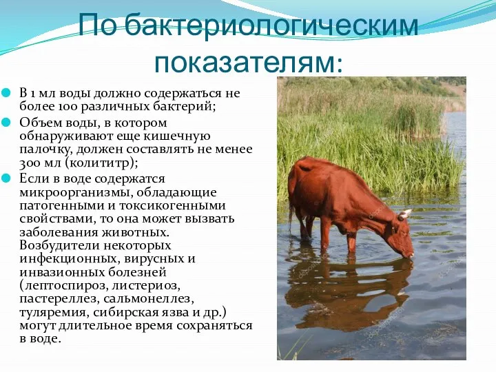 По бактериологическим показателям: В 1 мл воды должно содержаться не более 100