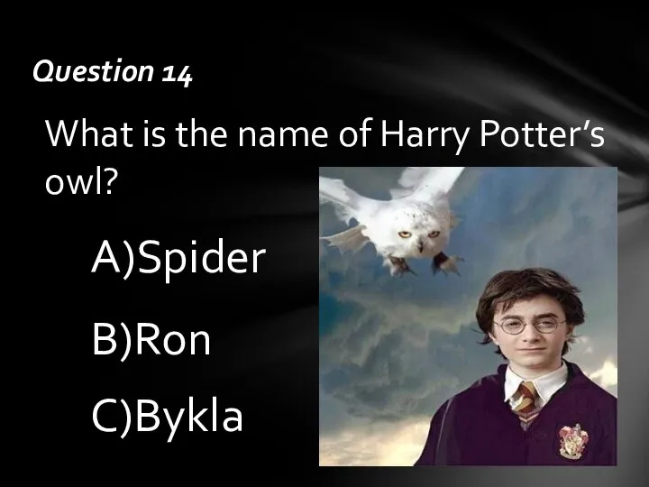 What is the name of Harry Potter’s owl? C)Bykla A)Spider B)Ron Question 14