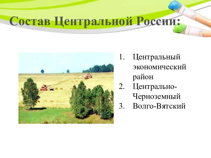 Состав Центральной России: Центральный экономический район Центрально-Черноземный Волго-Вятский