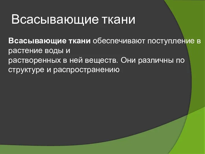 Всасывающие ткани Всасывающие ткани обеспечивают поступление в растение воды и растворенных в