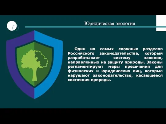 Юридическая экология Один их самых сложных разделов Российского законодательства, который разрабатывает систему