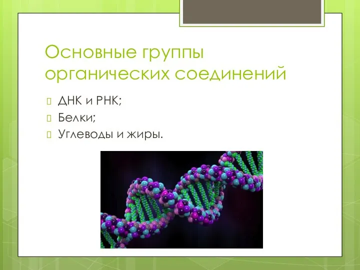 Основные группы органических соединений ДНК и РНК; Белки; Углеводы и жиры.