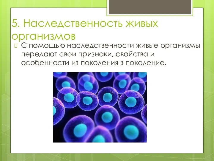 5. Наследственность живых организмов С помощью наследственности живые организмы передают свои признаки,