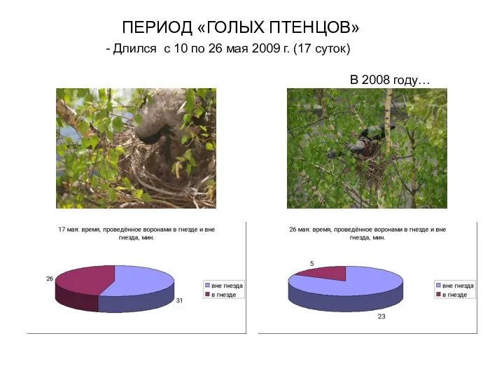 ПЕРИОД «ГОЛЫХ ПТЕНЦОВ» - Длился с 10 по 26 мая 2009 г.