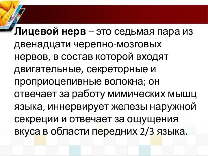 Лицевой нерв – это седьмая пара из двенадцати черепно-мозговых нервов, в состав