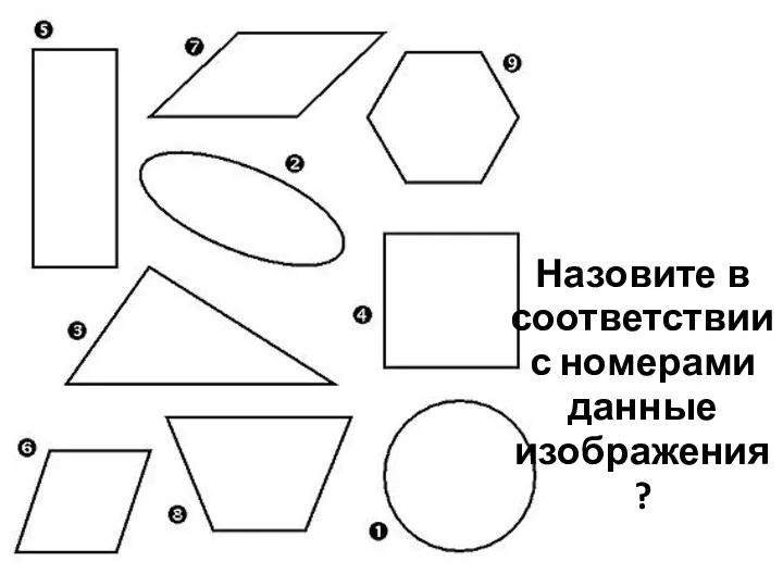 Назовите в соответствии с номерами данные изображения?