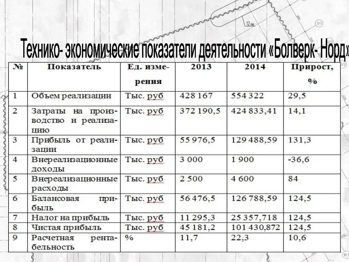 Технико- экономические показатели деятельности «Болверк- Норд»