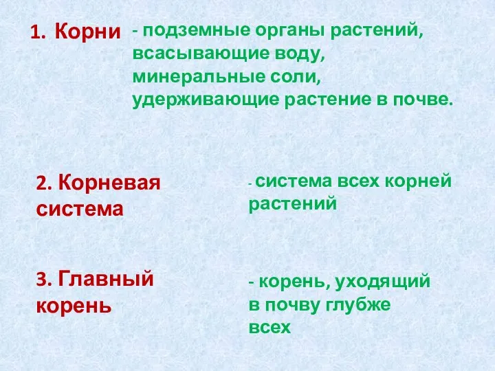 Корни - подземные органы растений, всасывающие воду, минеральные соли, удерживающие растение в