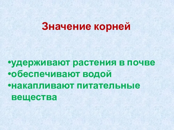 Значение корней удерживают растения в почве обеспечивают водой накапливают питательные вещества