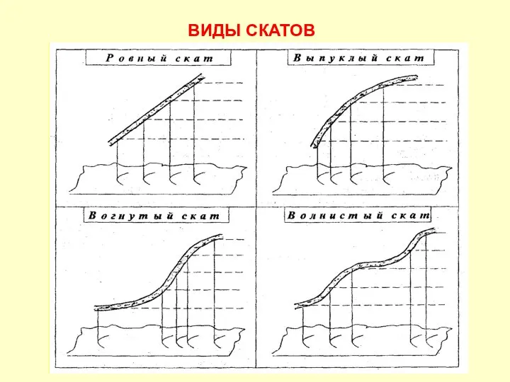 ВИДЫ СКАТОВ