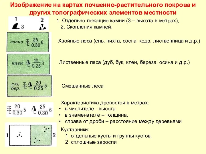 Отдельно лежащие камни (3 – высота в метрах), 2. Скопления камней. Хвойные