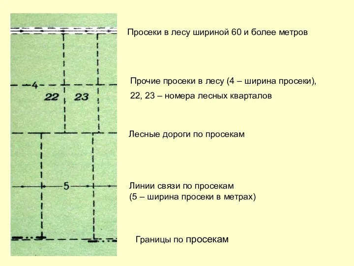 Просеки в лесу шириной 60 и более метров Прочие просеки в лесу