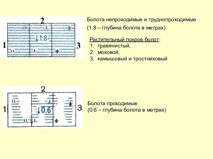 Болота непроходимые и труднопроходимые (1,8 – глубина болота в метрах) Болота проходимые