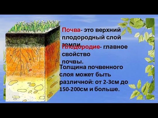 Почва- это верхний плодородный слой земли. Плодородие- главное свойство почвы. Толщина почвенного
