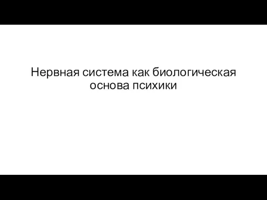 Нервная система как биологическая основа психики