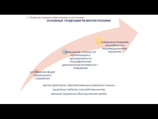 3. Развитие психики в филогенезе и онтогенезе ОСНОВНЫЕ ТЕНДЕНЦИИ РАЗВИТИЯ ПСИХИКИ: группы