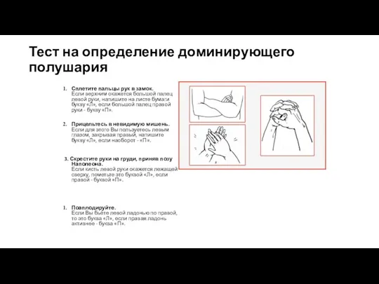 Тест на определение доминирующего полушария Сплетите пальцы рук в замок. Если верхним