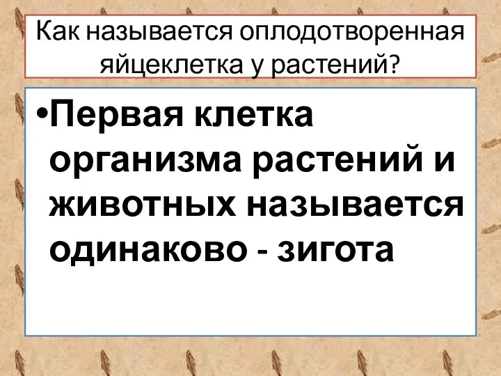 Как называется оплодотворенная яйцеклетка у растений? Первая клетка организма растений и животных называется одинаково - зигота