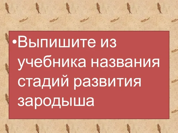 Выпишите из учебника названия стадий развития зародыша