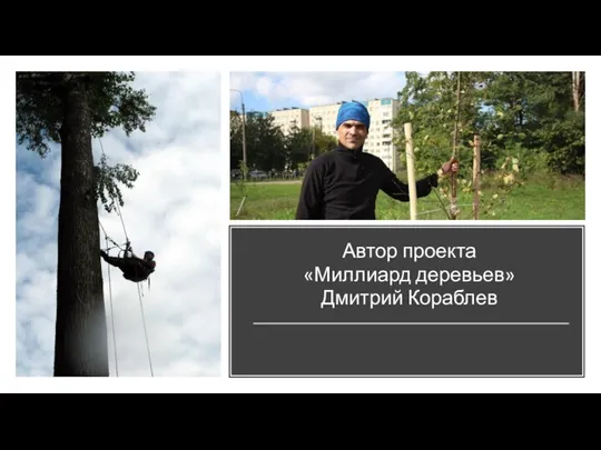 Автор проекта «Миллиард деревьев» Дмитрий Кораблев