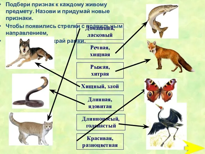 Красивая, разноцветная Подбери признак к каждому живому предмету. Назови и придумай новые