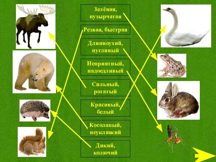 Дикий, колючий Зелёная, пузырчатая Резвая, быстрая Сильный, рогатый Длинноухий, пугливый Неприятный, надоедливый Косолапый, неуклюжий Красивый, белый