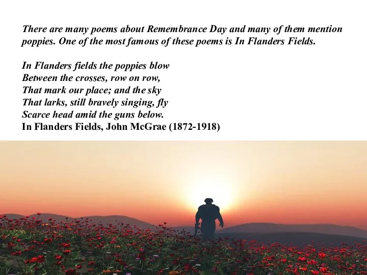 There are many poems about Remembrance Day and many of them mention