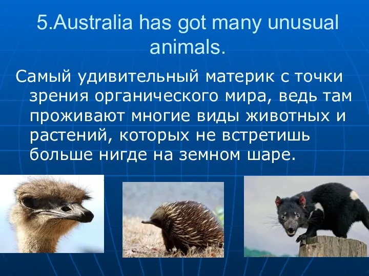 5.Australia has got many unusual animals. Самый удивительный материк с точки зрения