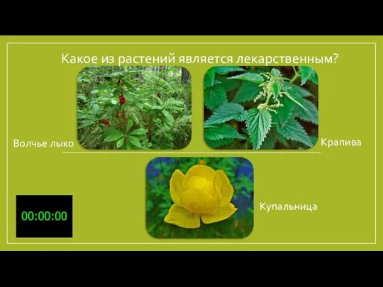 Какое из растений является лекарственным? Купальница Волчье лыко Крапива